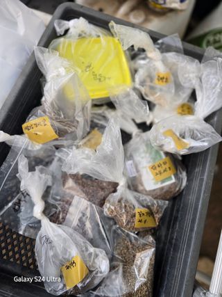 약초원 김종군님의 자유주제 · 자유게시판 작성글 사진