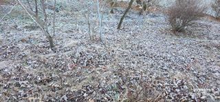 달맛햇복숭아농원님의 자유주제 · 사진전 작성글 사진