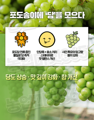 농업마켓365님의 작성글 사진