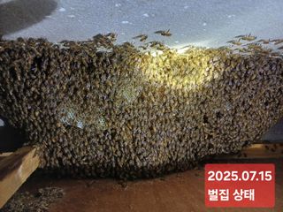 최정윤님의 자유주제 · 자유게시판 작성글 사진