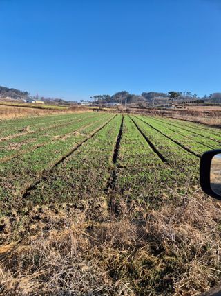 김영진(전남영광)님의 자유주제 · 자유게시판 작성글 사진