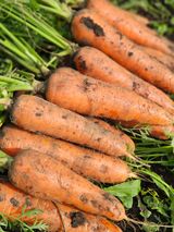 팜모닝 자유주제·자유게시판 게시글 이미지