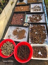 팜모닝 자유주제·자유게시판 게시글 이미지