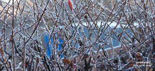 달맛햇복숭아농원님의 자유주제 · 사진전 작성글 사진