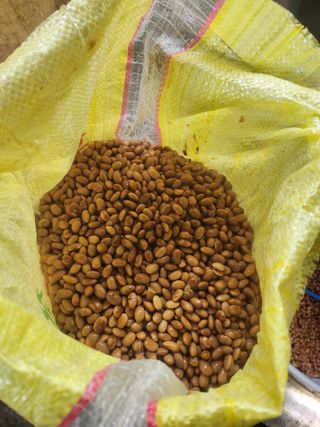 백화산지킴이산야초님의 자유주제 · 사진전 작성글 사진