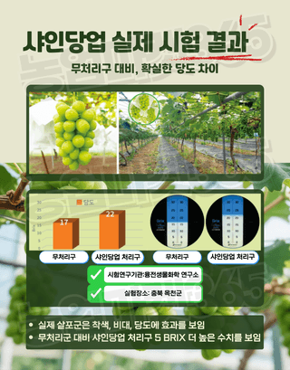 농업마켓365님의 작성글 사진