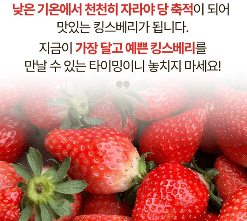스피드번님의 장터 판매 상품 [킹스베리 ] 첨부 사진