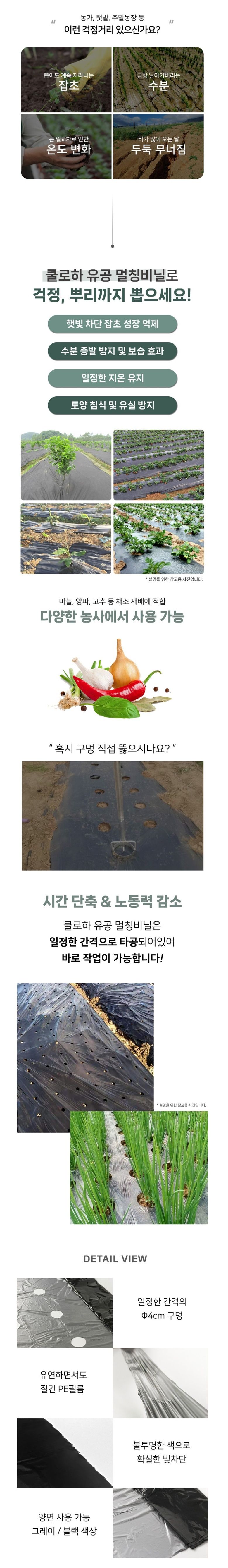 라이프브릿지님의 장터 판매 상품 [검정 유공멀칭비닐 농사용 필름 흑색 텃밭 주말농장 농업용 비닐 고추 제초] 첨부 사진