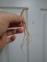 팜모닝 · 게시글 이미지