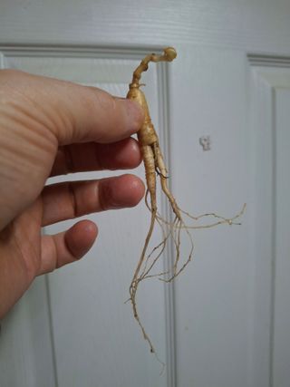 오영배님의 작성글 사진