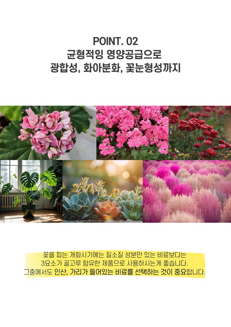 파머스케어님의 장터 판매 상품 [가든필리아 꽃비료2.5kg 꽃거름 알비료 식물영양제 완효성 코팅비료 관엽 다육 제라늄 화훼용 비료        ] 첨부 사진