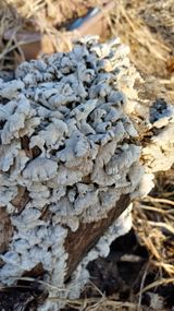 팜모닝 자유주제·자유게시판 게시글 이미지