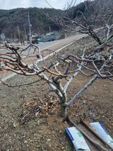 팜모닝 자유주제·자유게시판 게시글 이미지