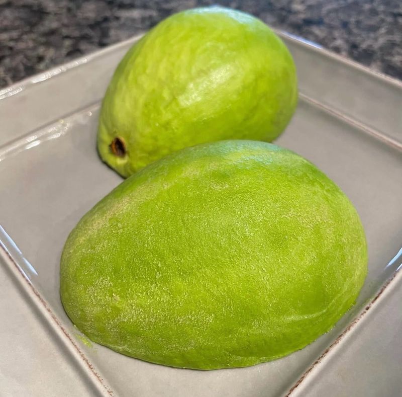 농부손녀님의 장터 판매 상품 [숲속의 버터 아보카도 2kg 4kg] 첨부 사진