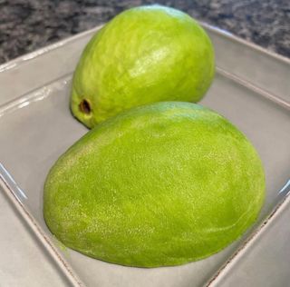 농부손녀님의 작성글 사진