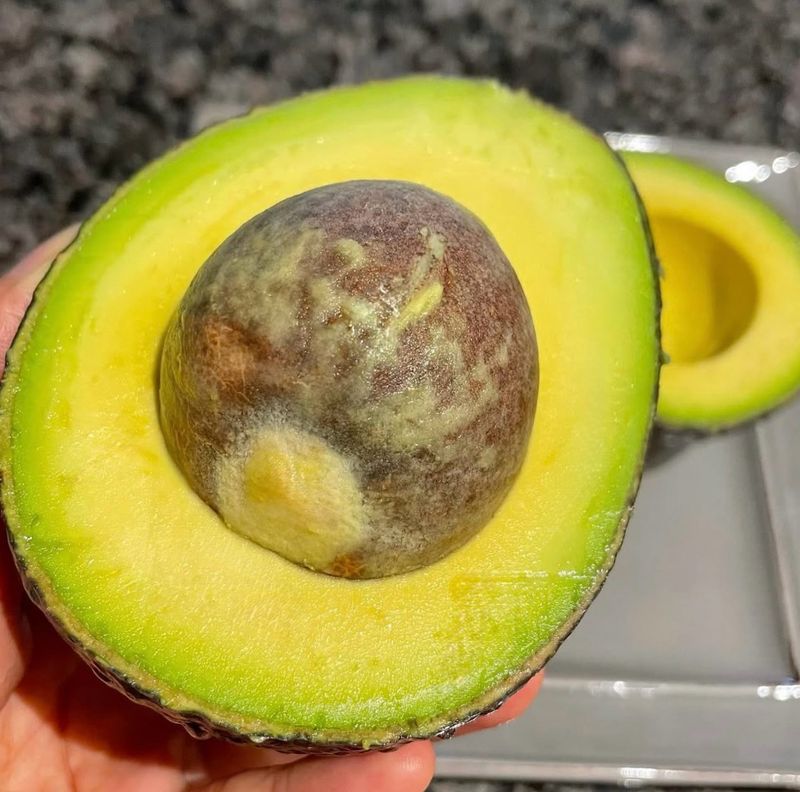 농부손녀님의 장터 판매 상품 [숲속의 버터 아보카도 2kg 4kg] 첨부 사진