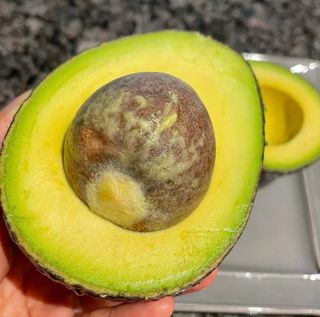 농부손녀님의 작성글 사진