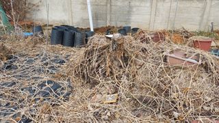 박신영님의 자유주제 · 자유게시판 작성글 사진