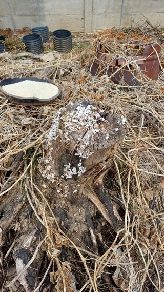 박신영님의 자유주제 · 자유게시판 작성글 사진