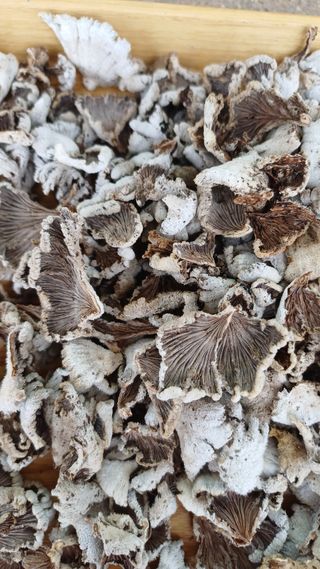 박신영님의 자유주제 · 자유게시판 작성글 사진