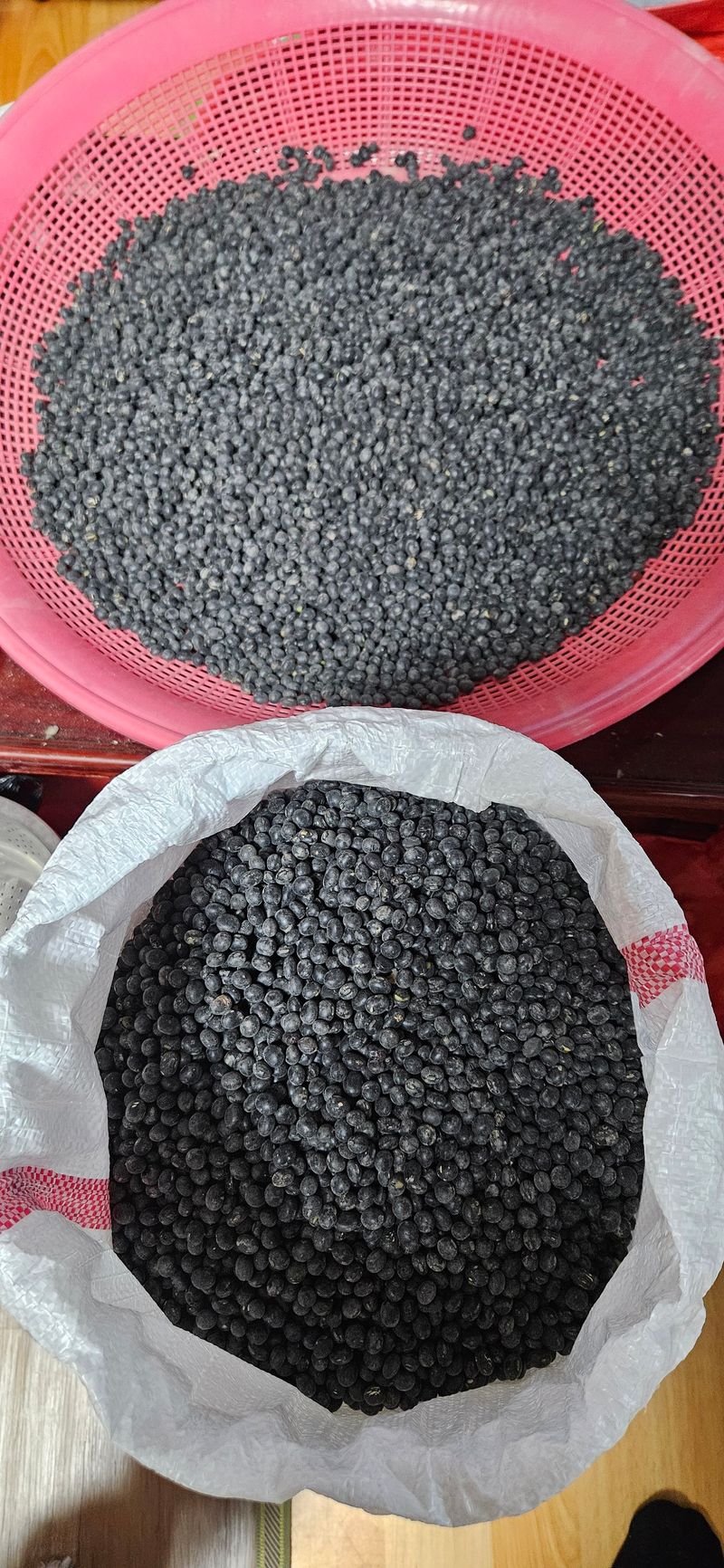 최영성님의 장터 판매 상품 [서리태(새바람)] 첨부 사진