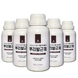 팜모닝 · 게시글 이미지