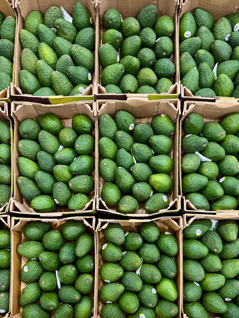 농부손녀님의 장터 판매 상품 [숲속의 버터 아보카도 2kg 4kg] 첨부 사진