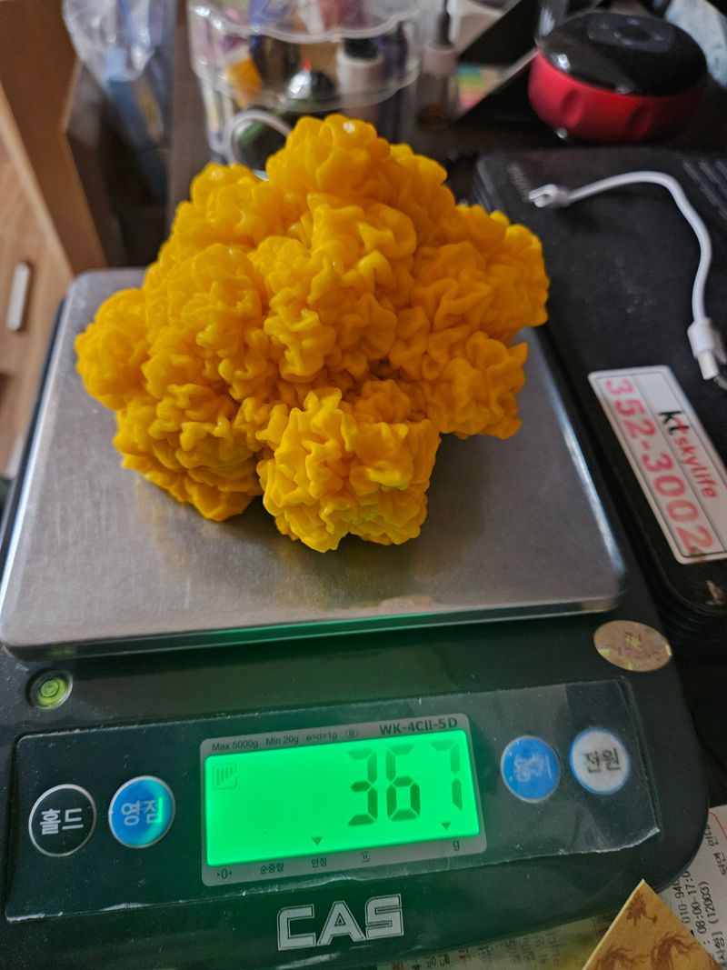 장터 상품 [황금버섯  1kg] 썸네일