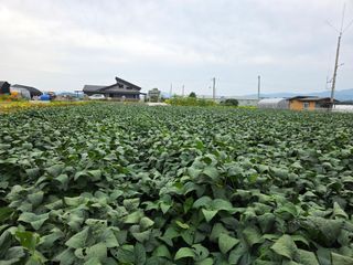 아침못자연농원님의 작성글 사진