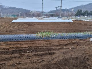 남돌돌님의 자유주제 · 자유게시판 작성글 사진