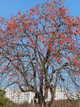 팜모닝 · 게시글 이미지