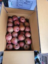 팜모닝 · 게시글 이미지