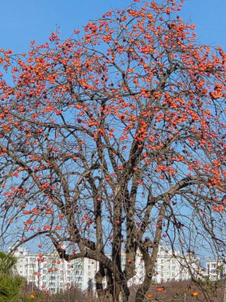 무형교회목사 안영진님의 작성글 사진