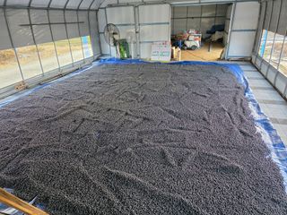 아침못자연농원님의 작성글 사진