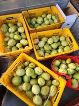 팜모닝 자유주제·자유게시판 게시글 이미지