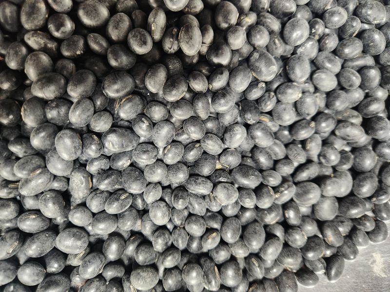 장터 상품 [서리태 (검은콩)] 썸네일