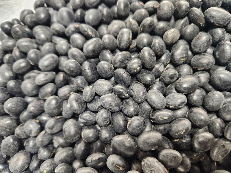 박금선 님의 장터 판매 상품 [서리태 (검은콩)] 첨부 사진