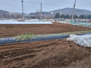 남돌돌님의 자유주제 · 자유게시판 작성글 사진
