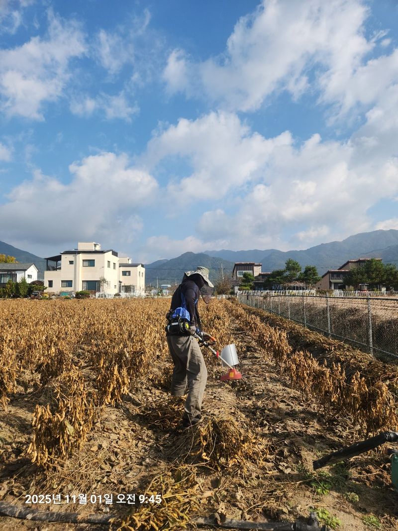 아침못자연농원님의 장터 판매 상품 [2025년산 새바람속청서리태 1kg ] 첨부 사진