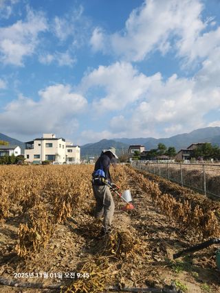 아침못자연농원님의 작성글 사진