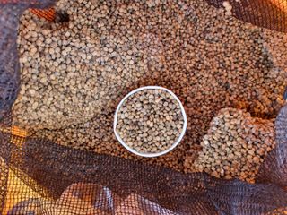 모두팜님의 작성글 사진