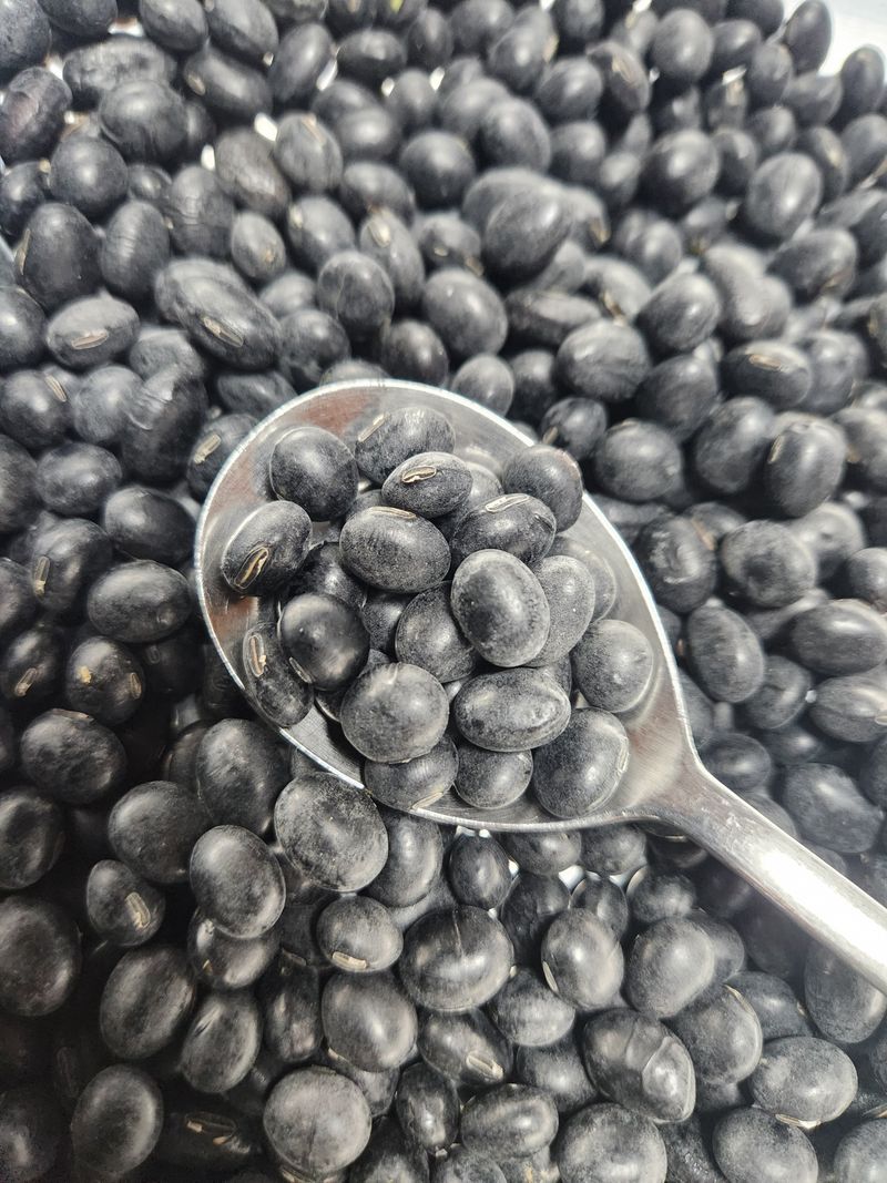 박금선 님의 장터 판매 상품 [서리태 (검은콩)] 첨부 사진