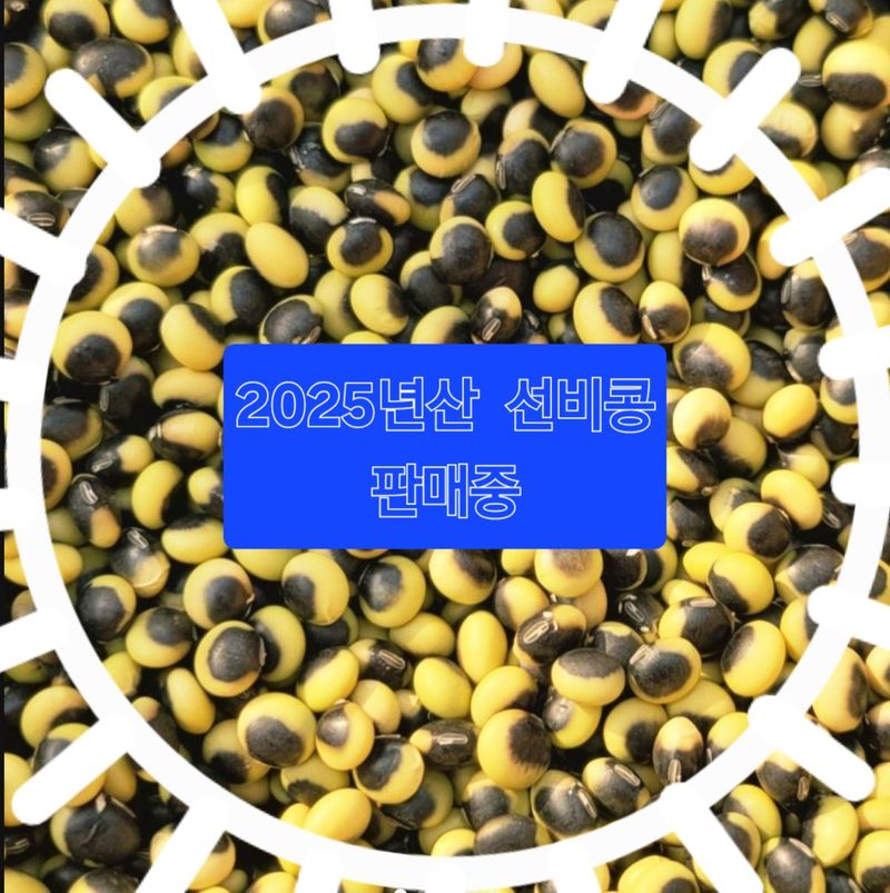 선비 농군님의 장터 판매 상품 [(콩의  황제)    선비콩 1Kg] 첨부 사진