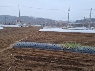 남돌돌님의 자유주제 · 자유게시판 작성글 사진