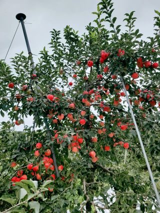 신동익님의 작성글 사진