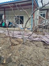 팜모닝 자유주제·자유게시판 게시글 이미지