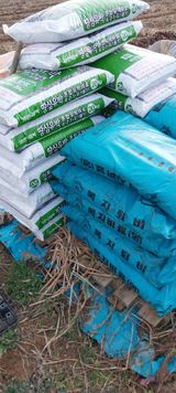 팜모닝 자유주제·자유게시판 게시글 이미지