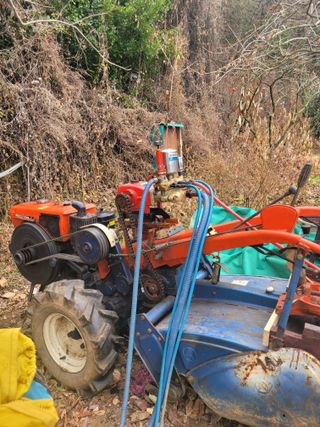 진해풍호동텃밭님의 작성글 사진