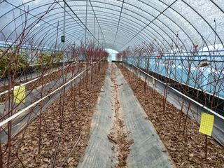 오늘 이순간님의 자유주제 · 자유게시판 작성글 사진