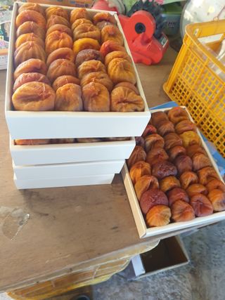 세미골곶감님의 자유주제 · 자유게시판 작성글 사진